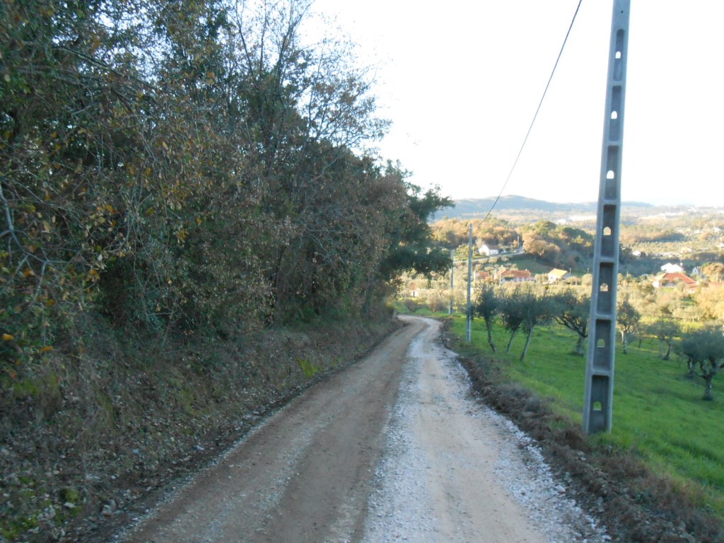 vveias 3