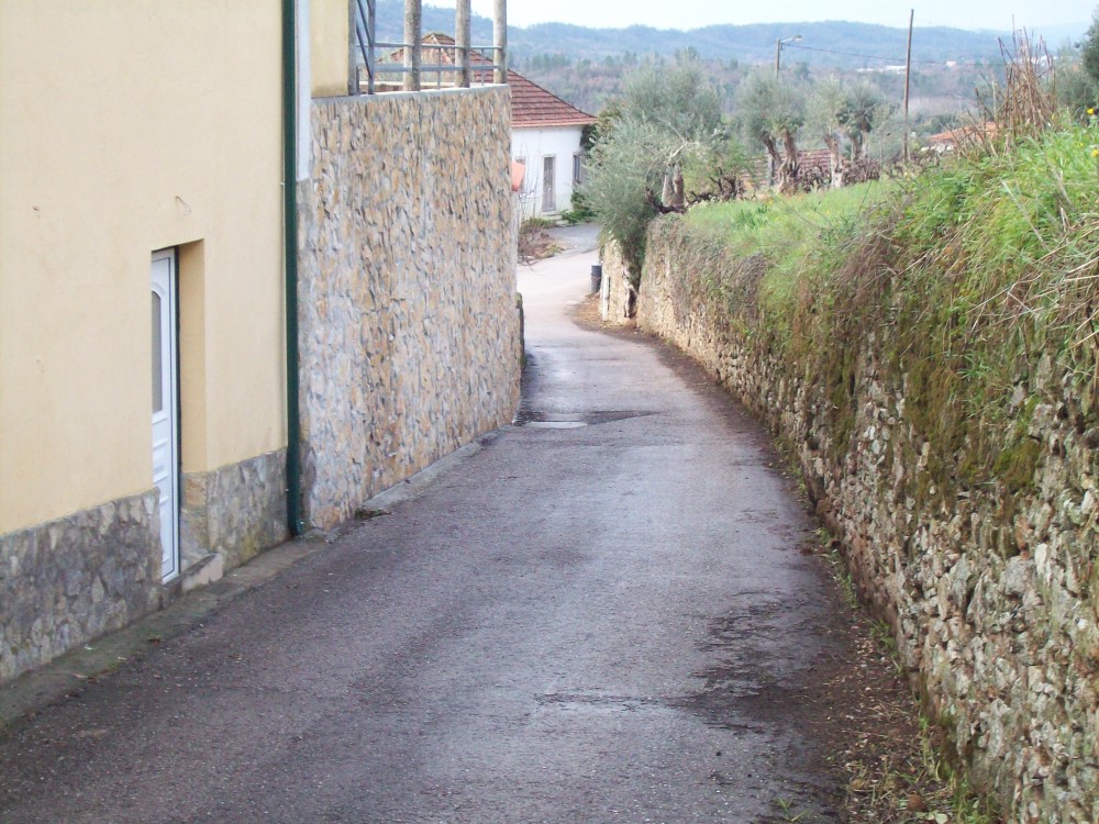 rcastelo4