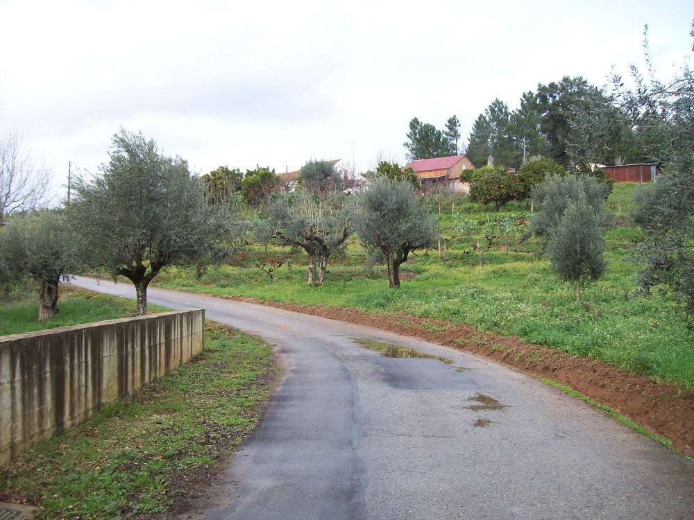 rcoito3