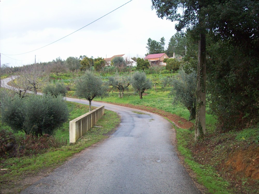 rcoito4