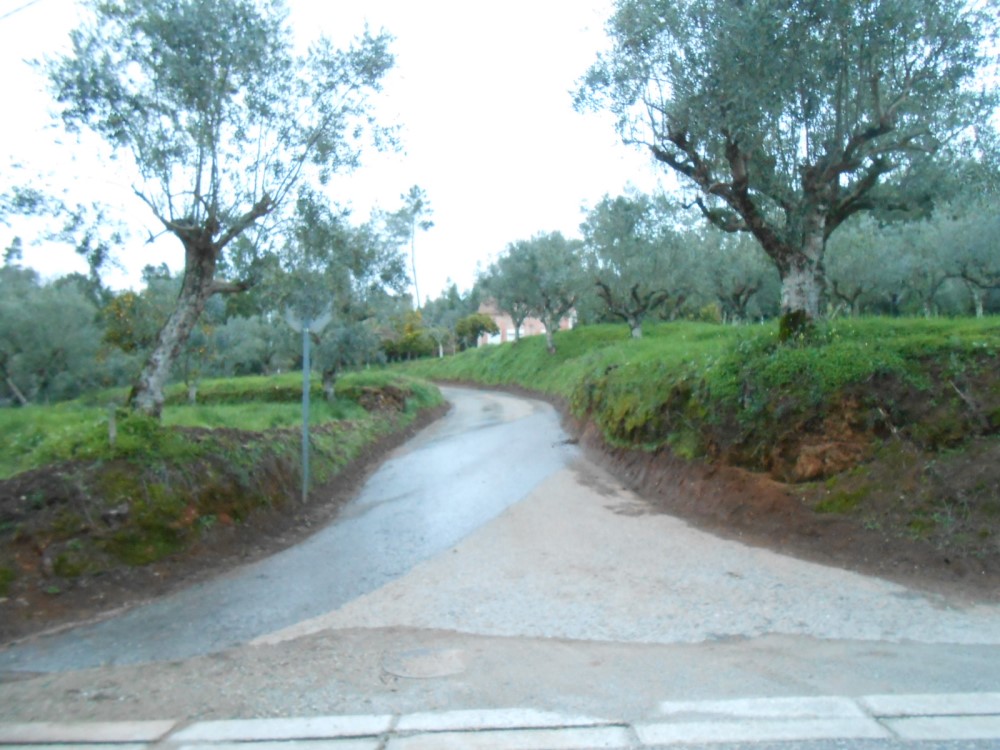rcoito9