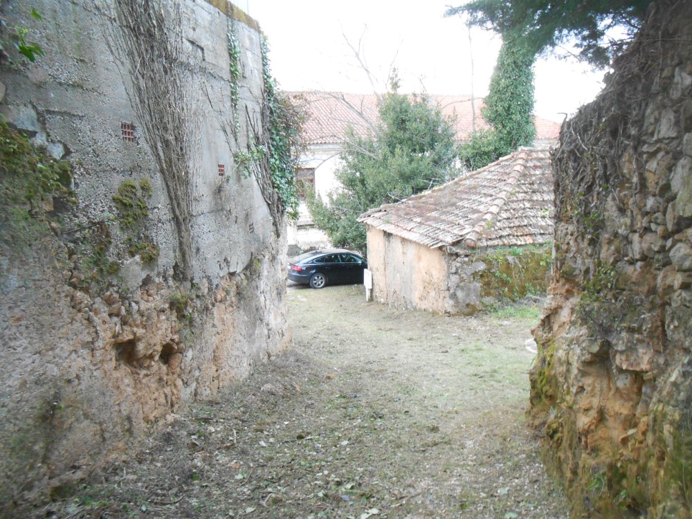 ralqueidao11