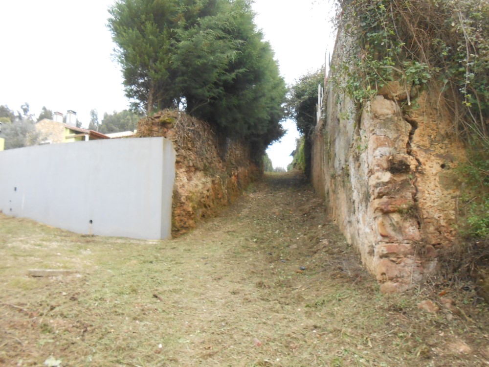 ralqueidao3