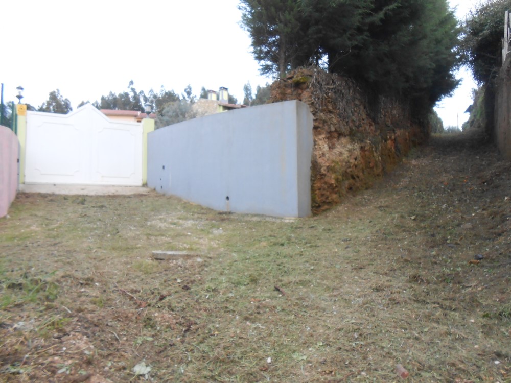 ralqueidao4