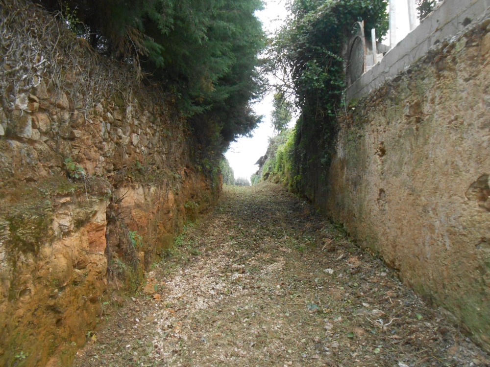 ralqueidao5
