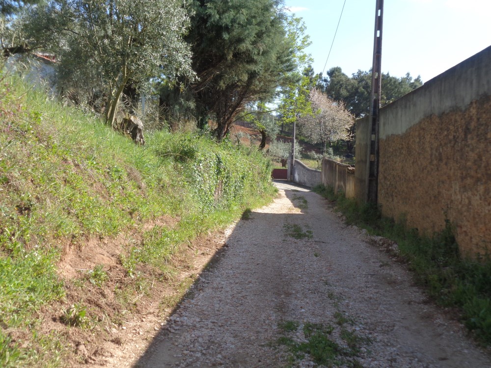 balouco11