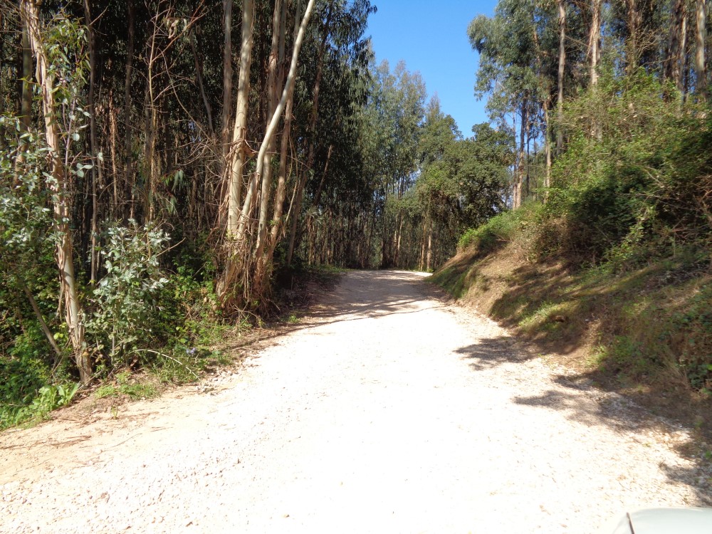 balouco3