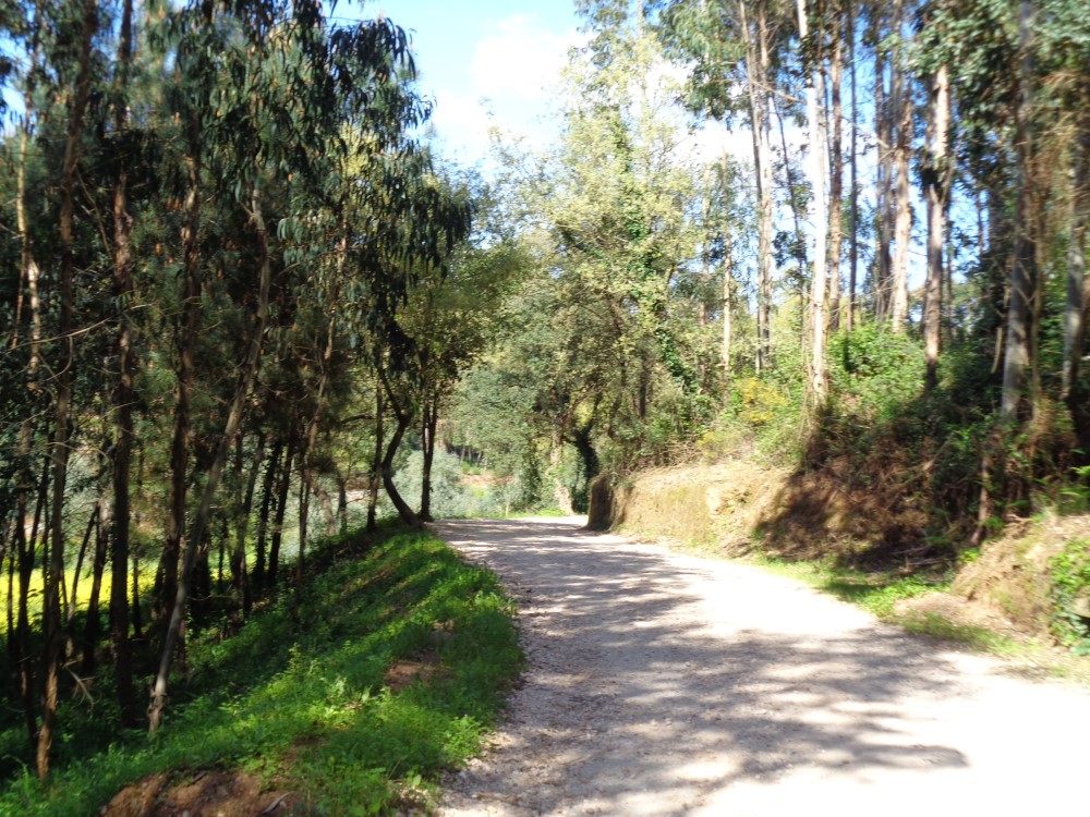 balouco5