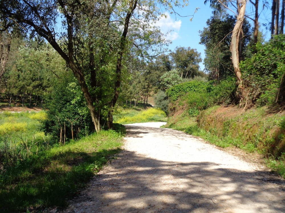 balouco6