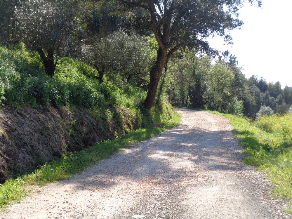 balouco8
