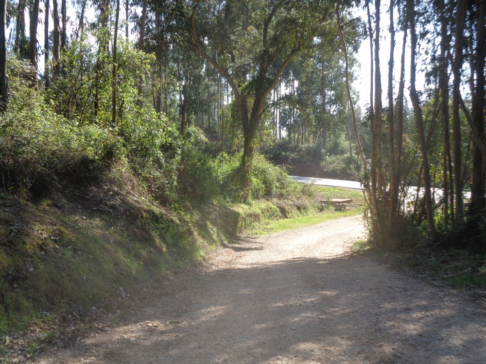 balouco9