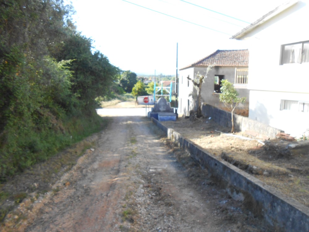 frmurta12