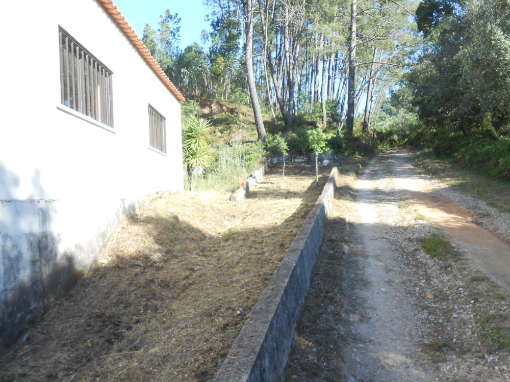 frmurta14