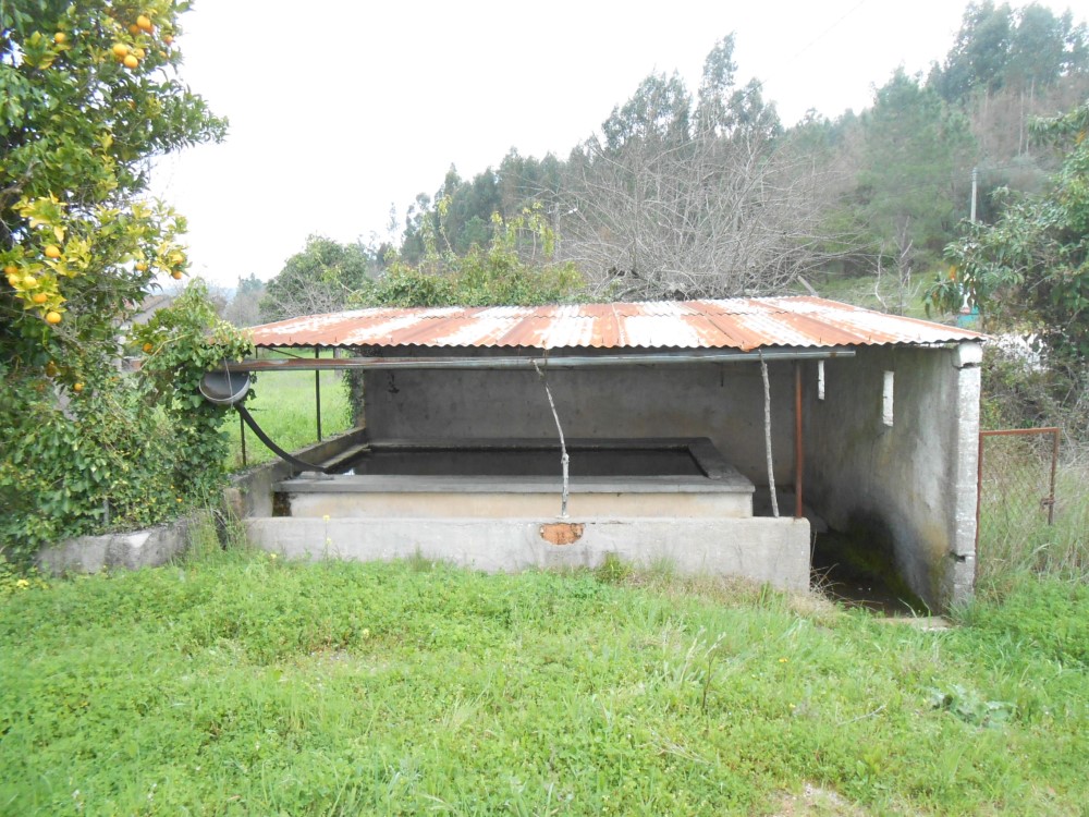 frmurta19