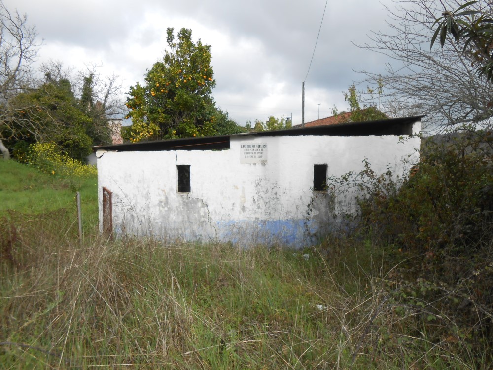 frmurta20