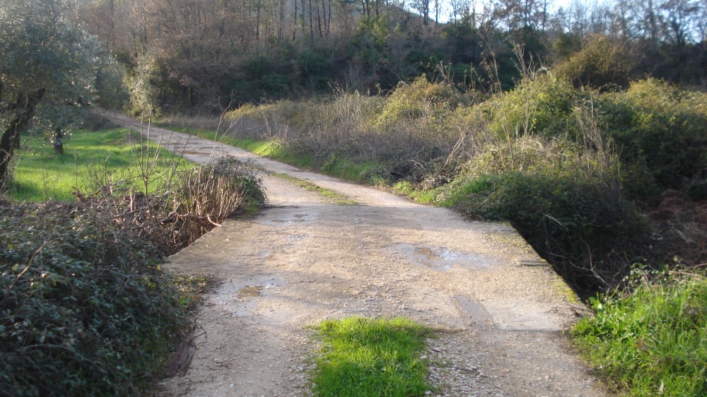 pccaldeira14