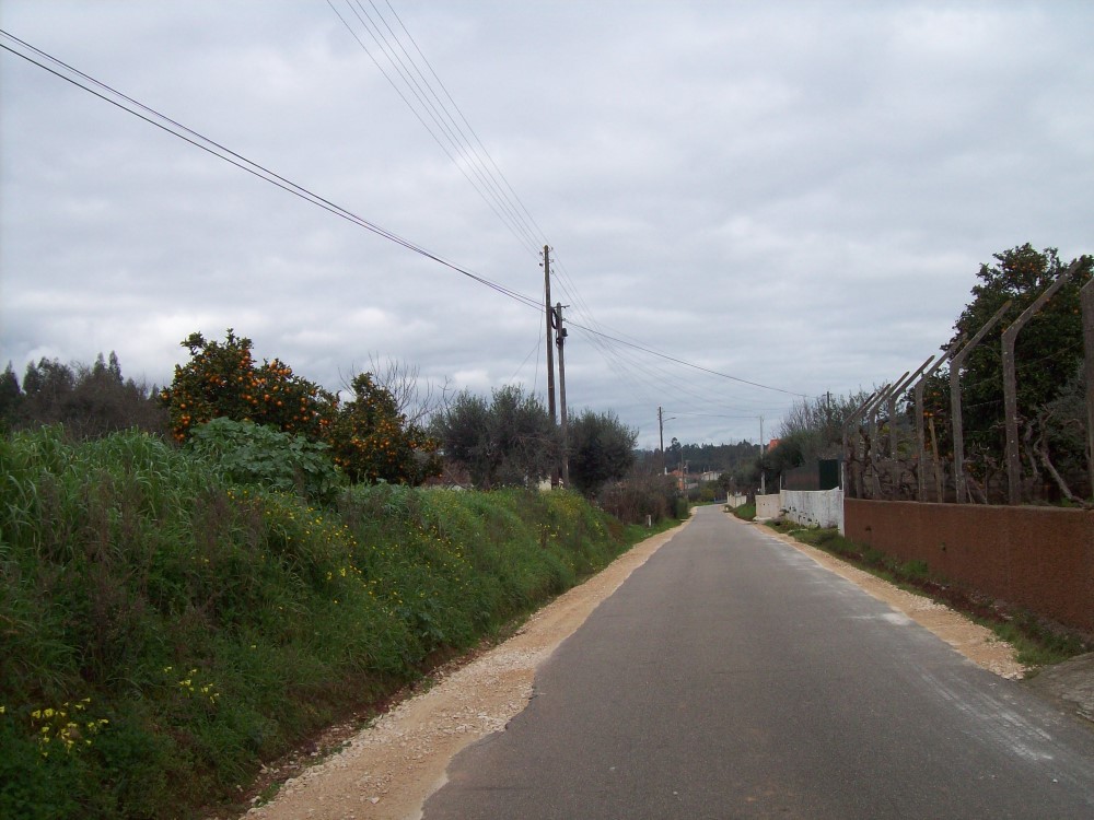 rpcasais2