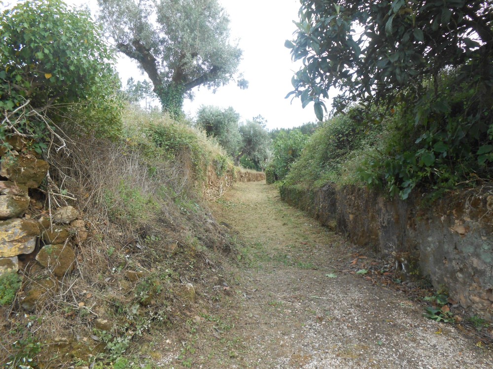cpinheiro2