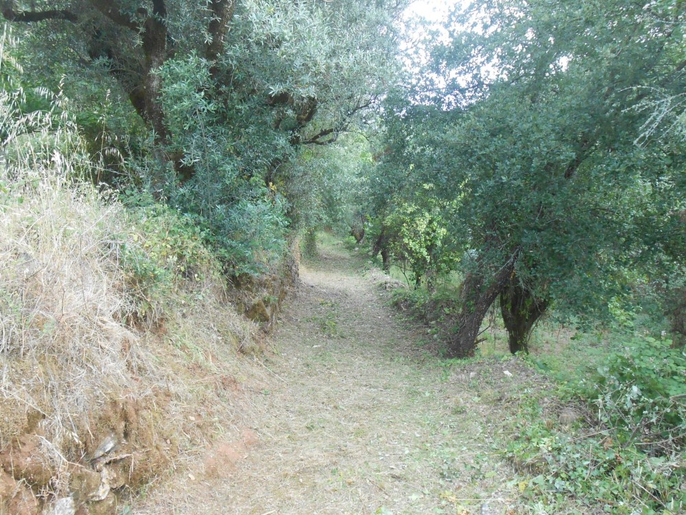cpinheiro4