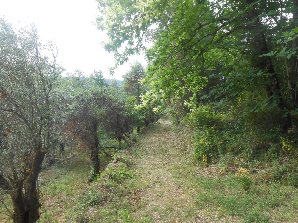 cpinheiro6