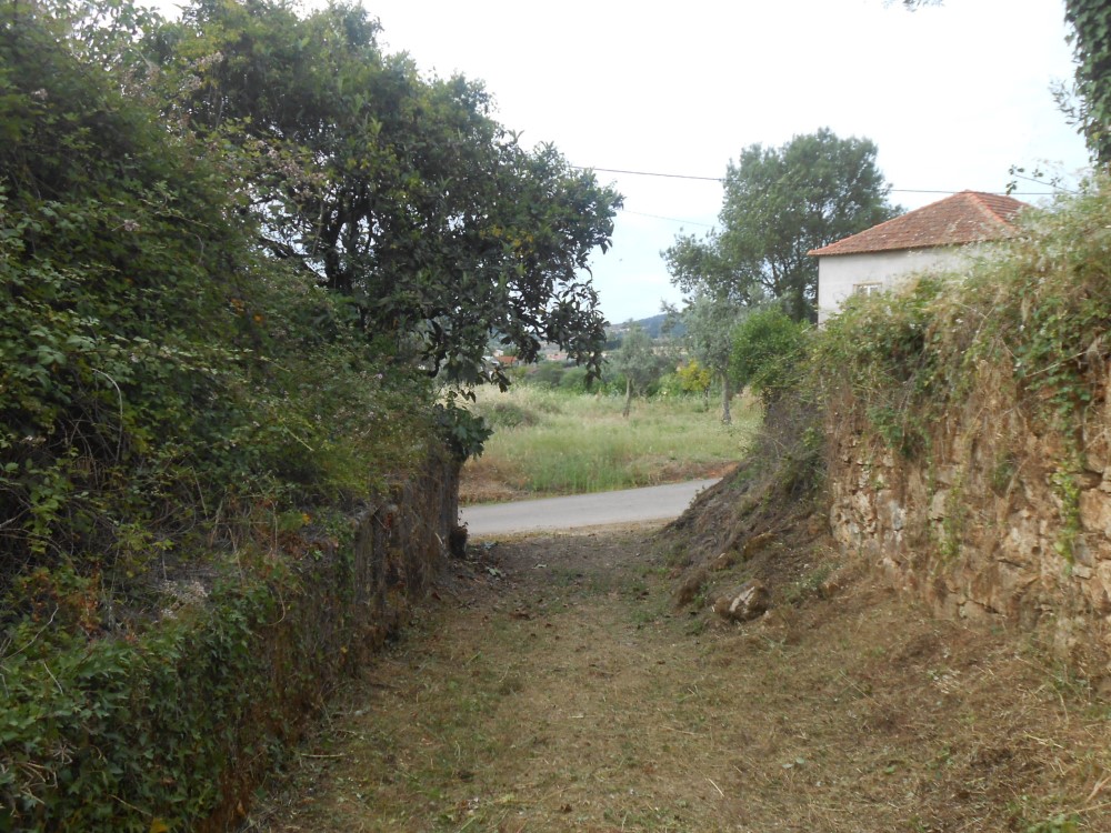 cpinheiro9