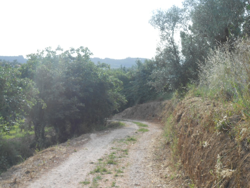 rfpedra2