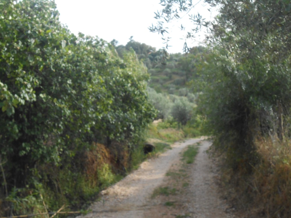 rfpedra3