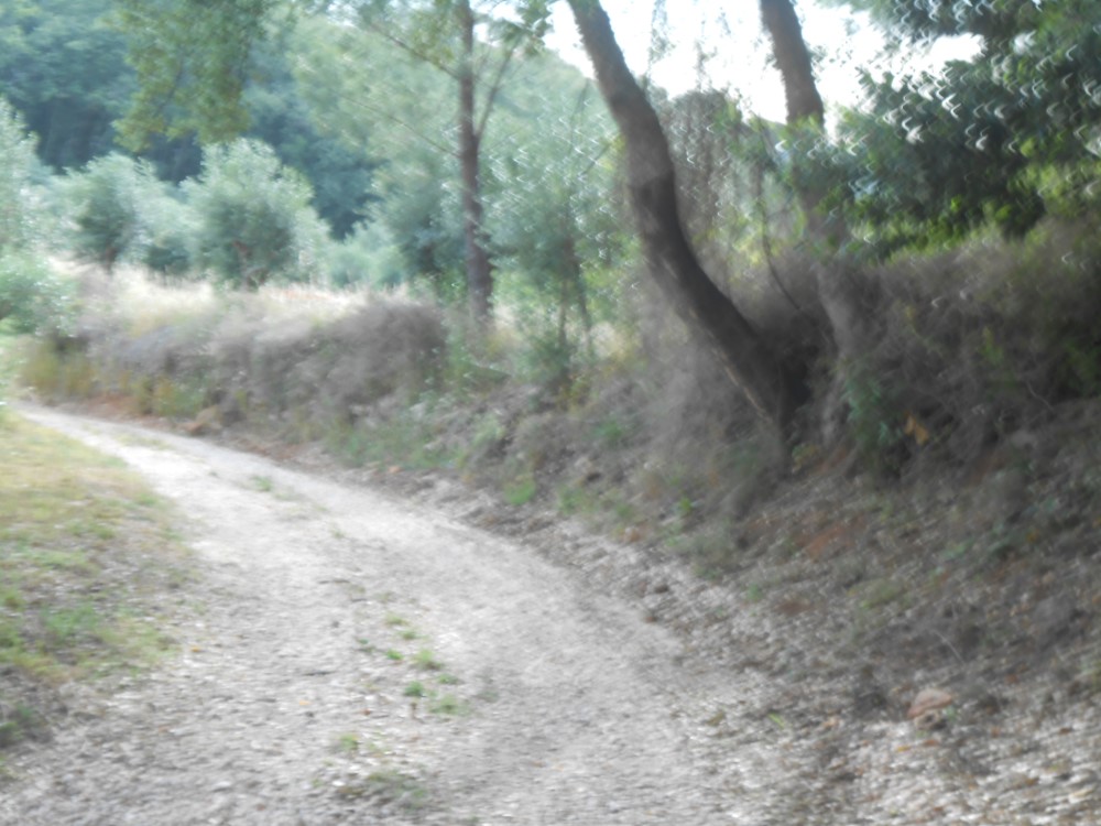 rfpedra4