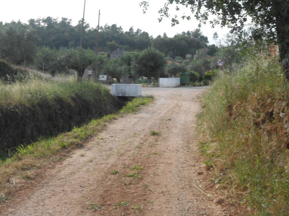 rfpedra6