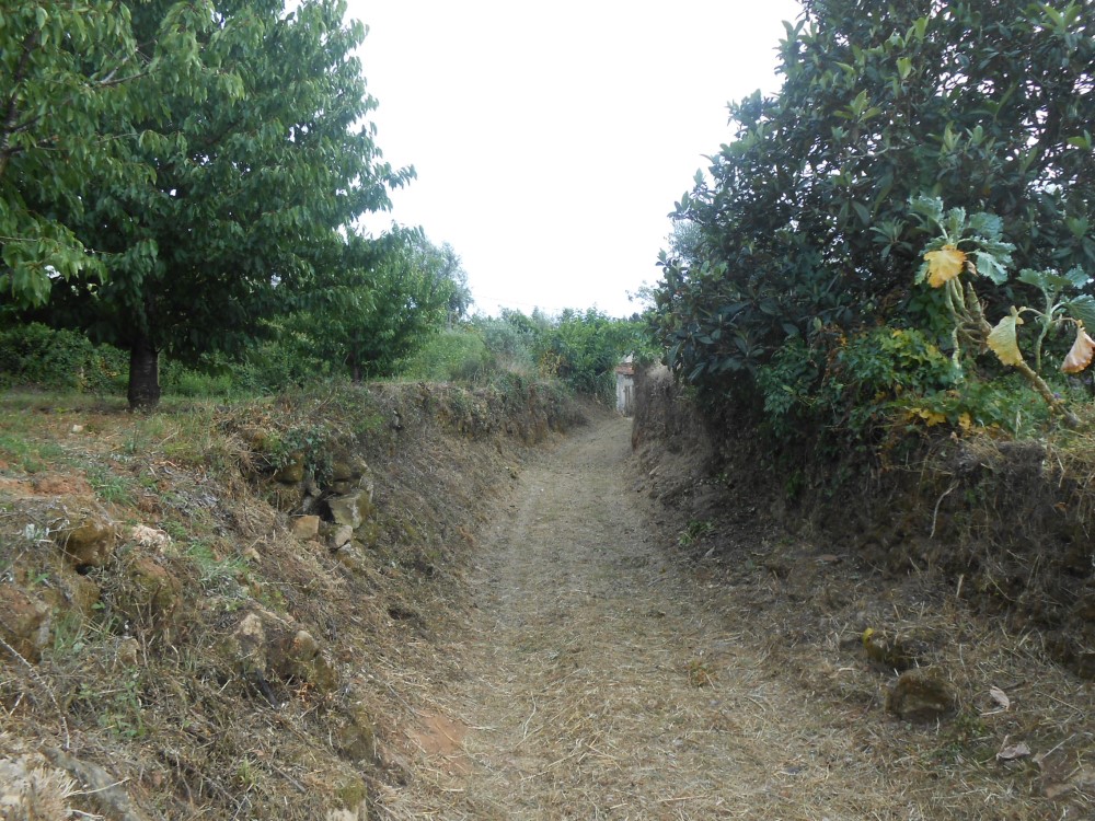 rispedro12