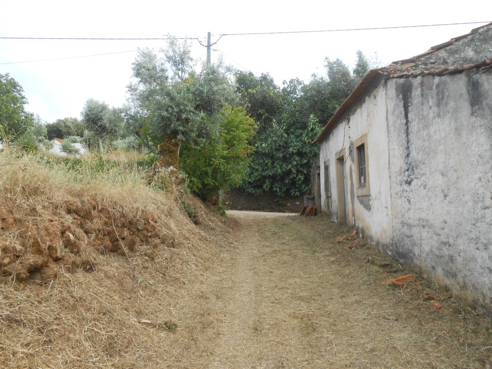 rispedro14