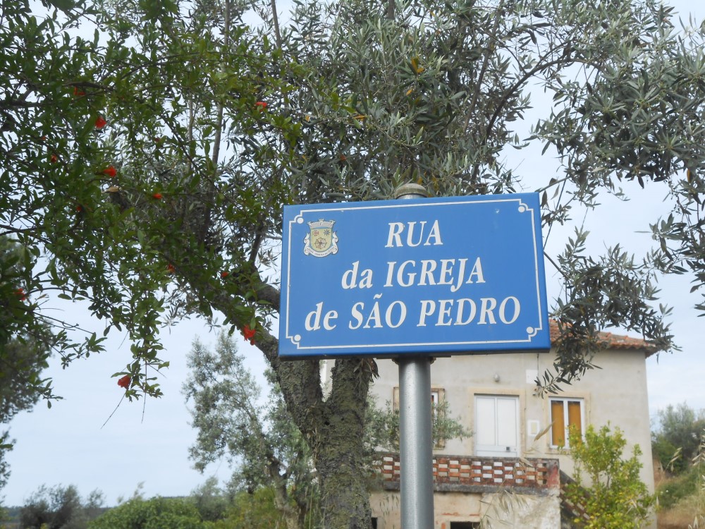 rispedro22