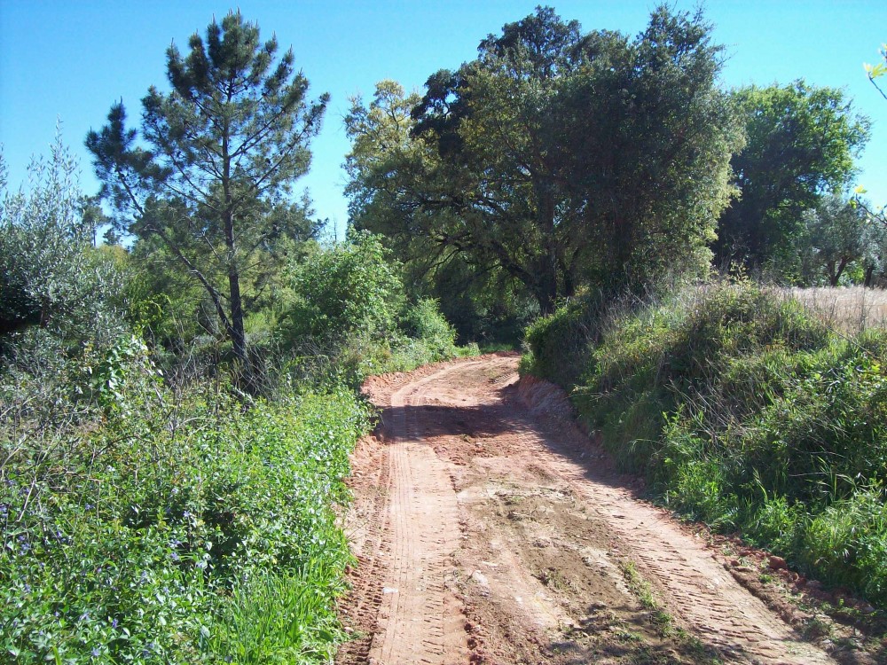 rpaco15