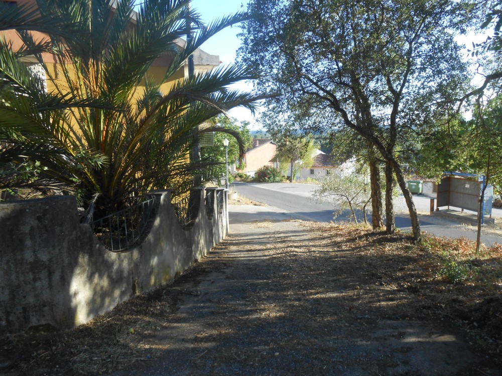 pvverde7