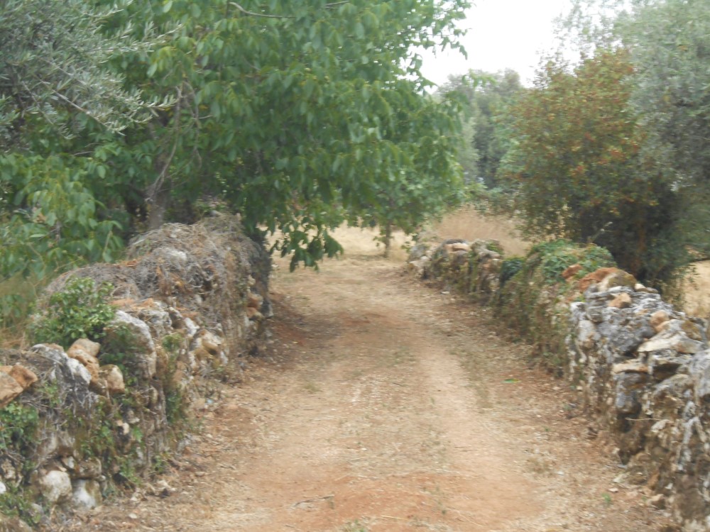 rmatos3