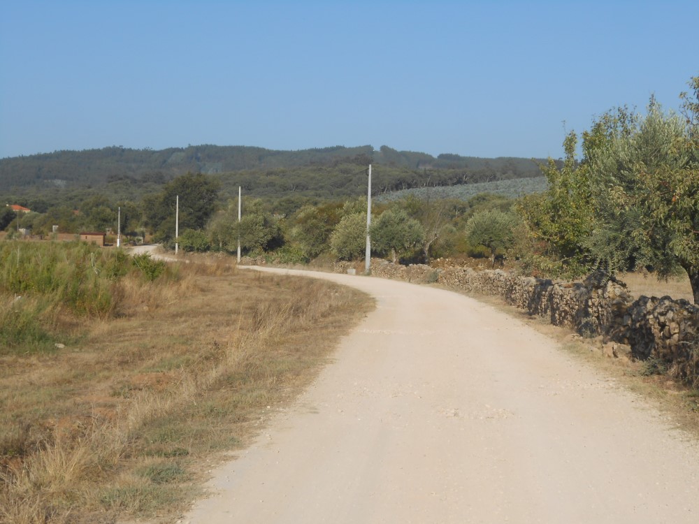 rcdgaiao5