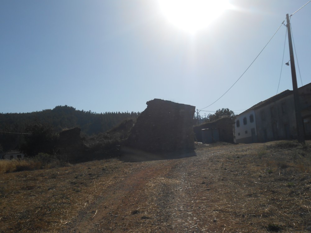 tcastelo12