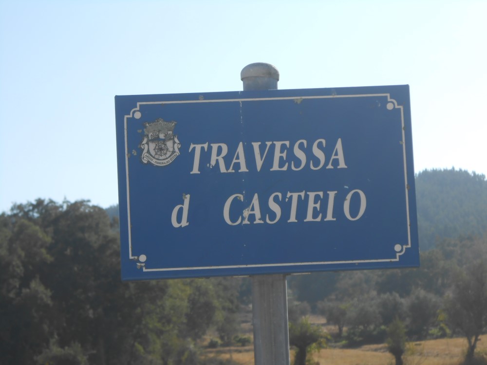 tcastelo13