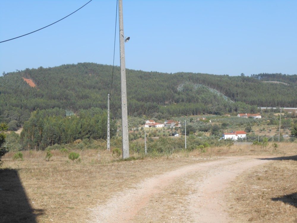 tcastelo2