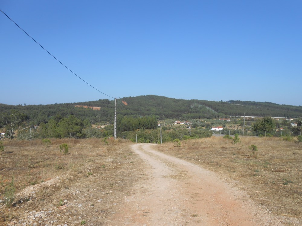 tcastelo3