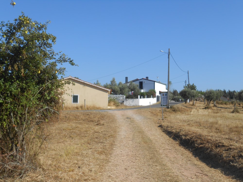 tcastelo7