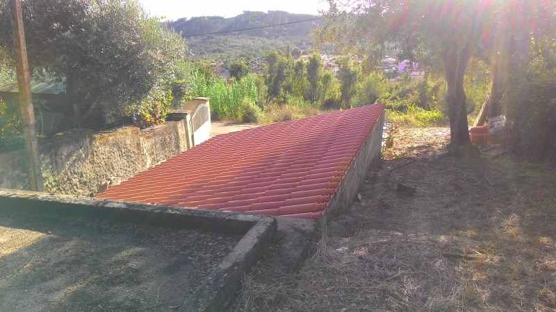 fcidral17