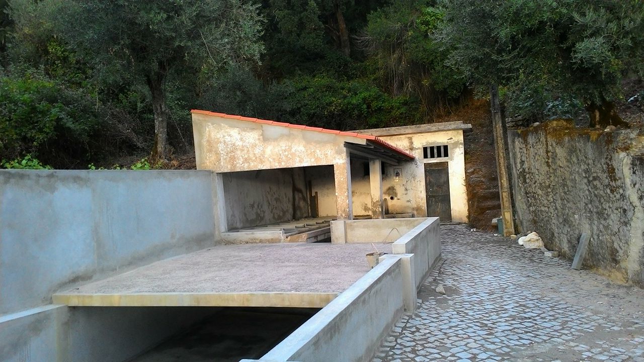 fcidral69
