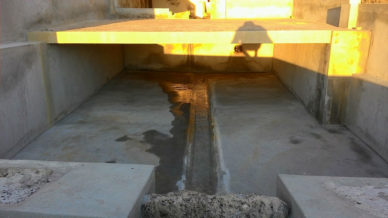 fcidral75
