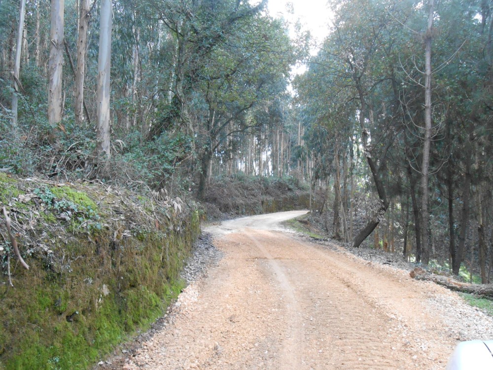 balouco5