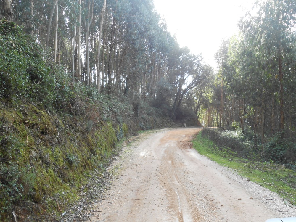 balouco6