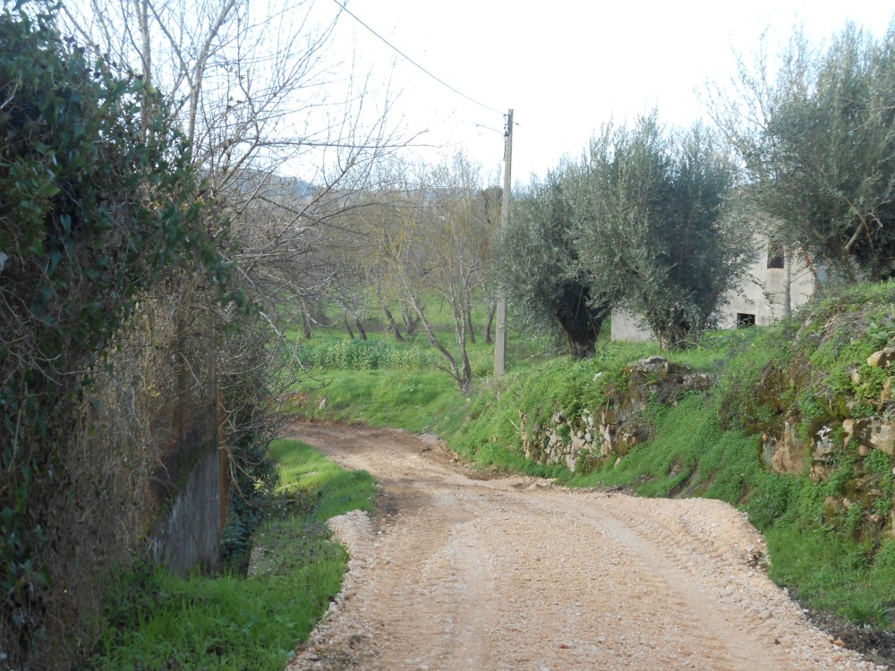 rfpedra3