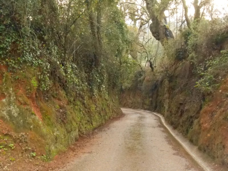 gontijas10