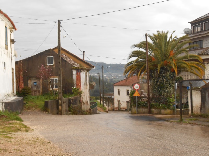 gontijas12