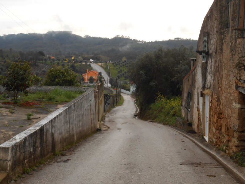 gontijas13